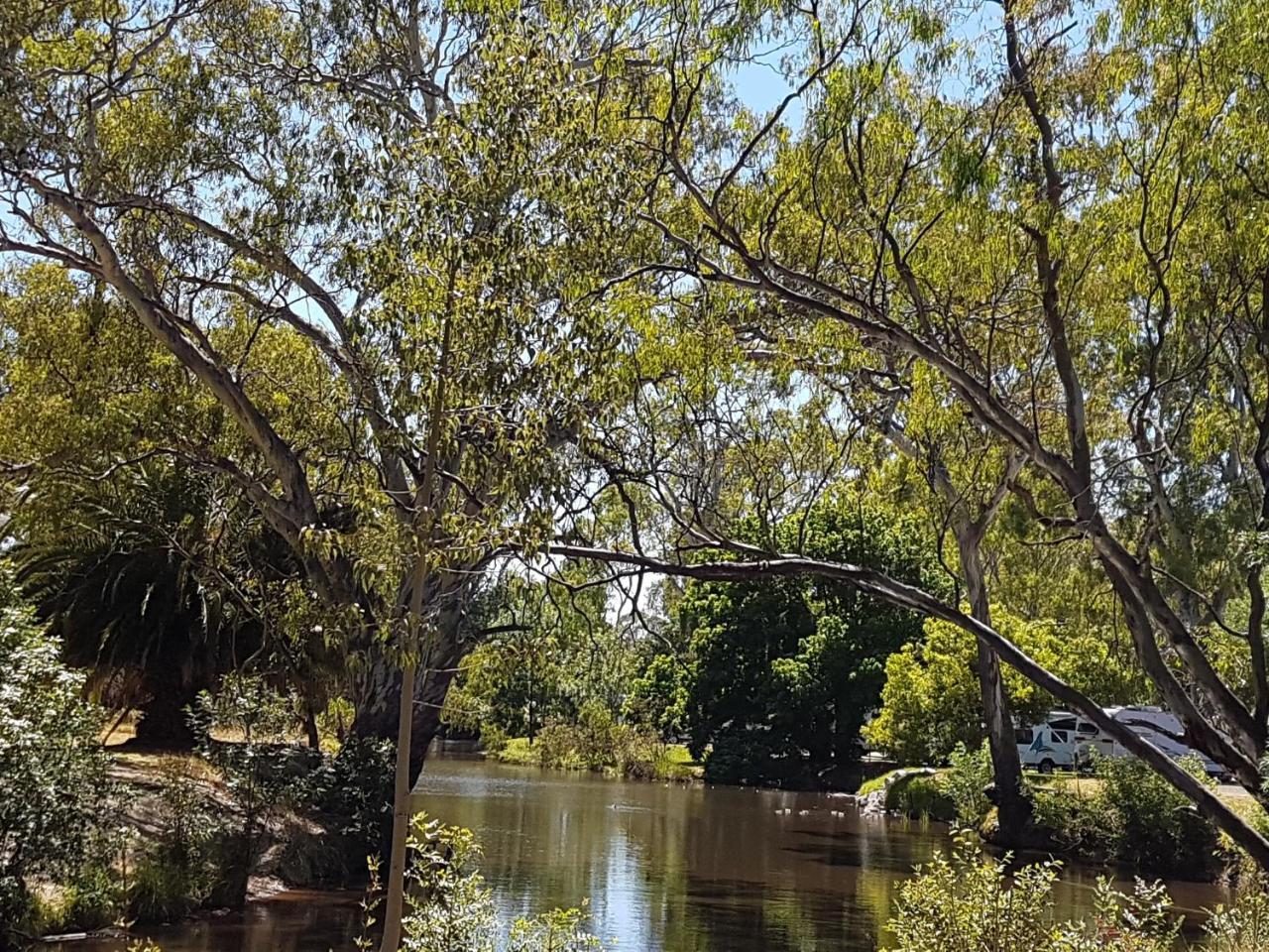 Hotel Euroa Caravan Park Exteriér fotografie